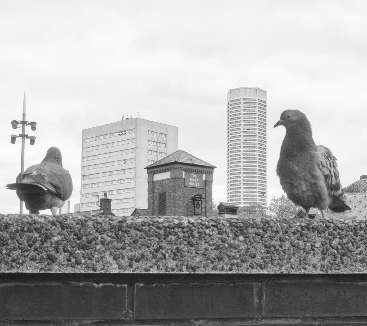 Pigeon Talk and other conversations – black and white Birmingham