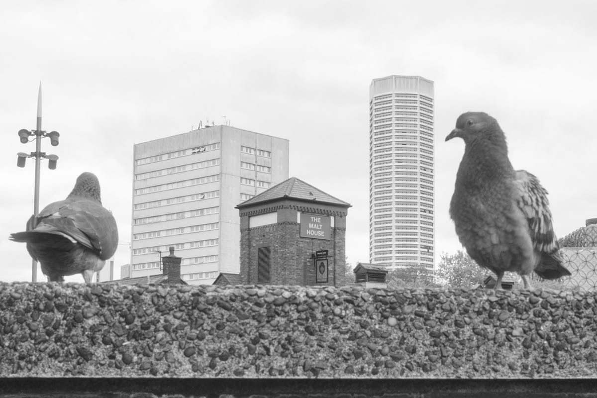 Pigeon Talk and other conversations – black and white Birmingham