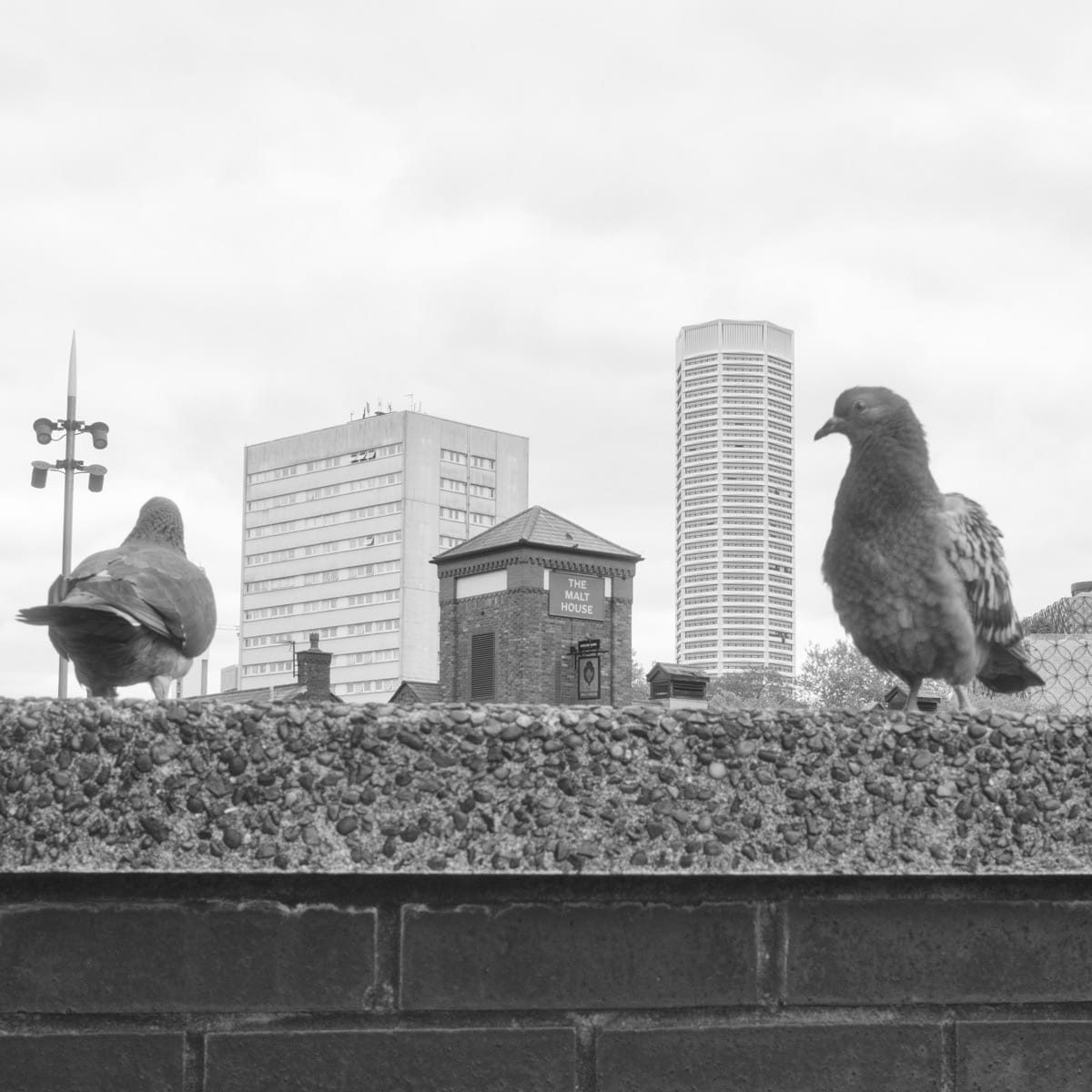 Pigeon Talk and other conversations – black and white Birmingham
