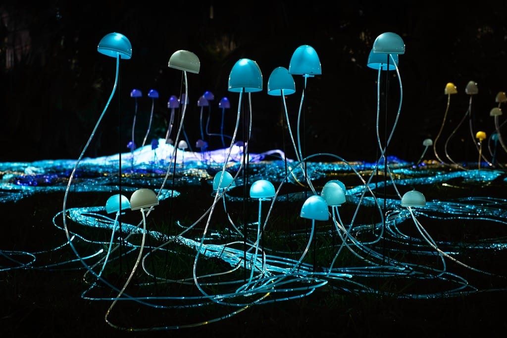 Birmingham Light Festival, February, 2025