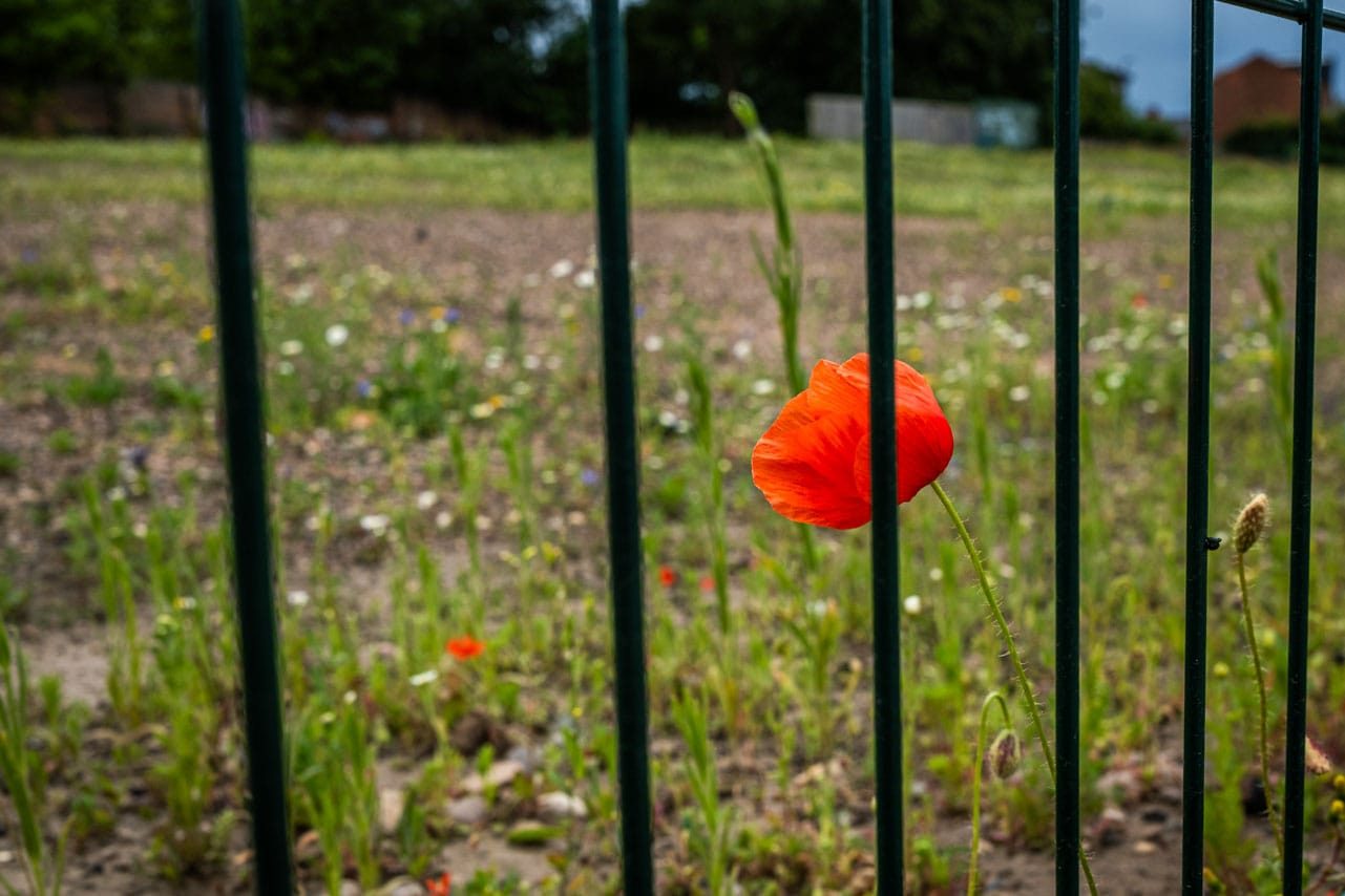 Edgbaston Reservoir, Instameet July 2023.