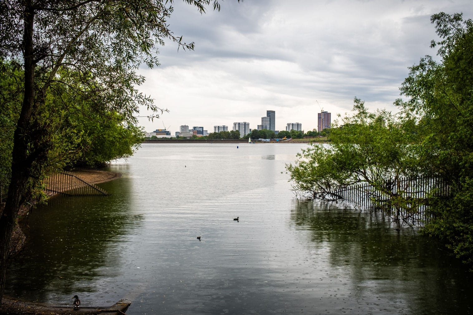 IgersbirminghamUK invited by Friends of Edgbaston Reservoir to hold an Instameet.