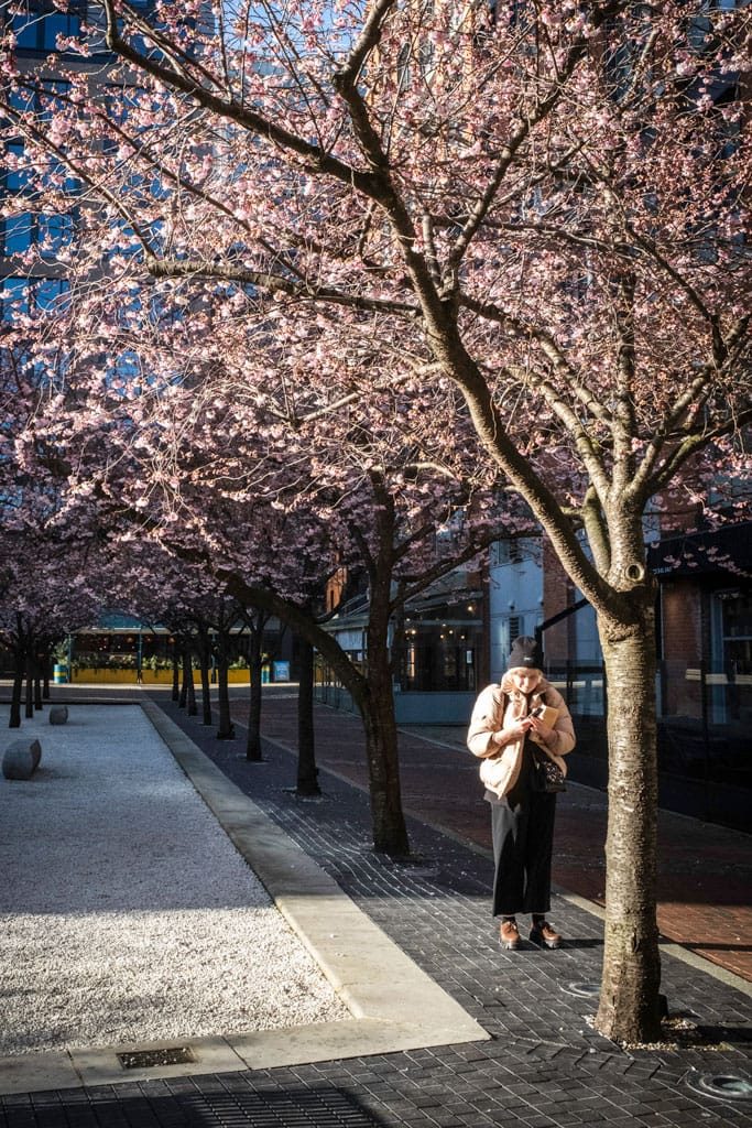 Oozells Square, Birmingham, March, 2024
