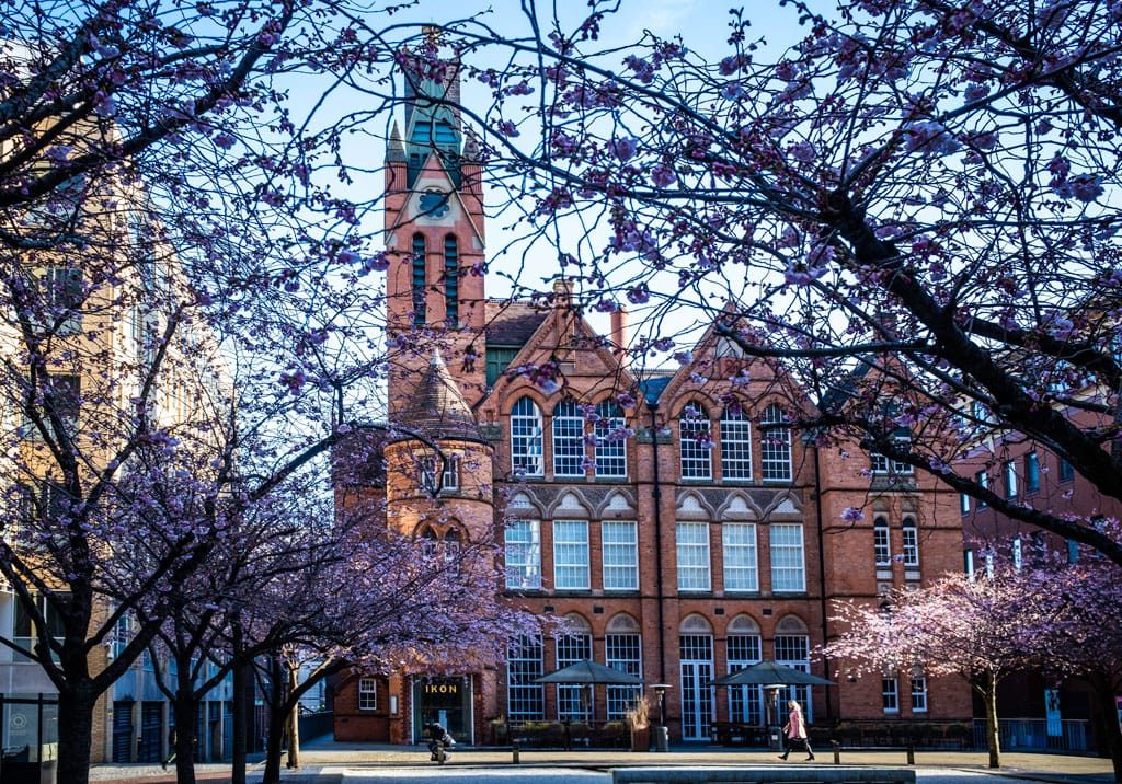 Early blossom brings colour to Oozells Square