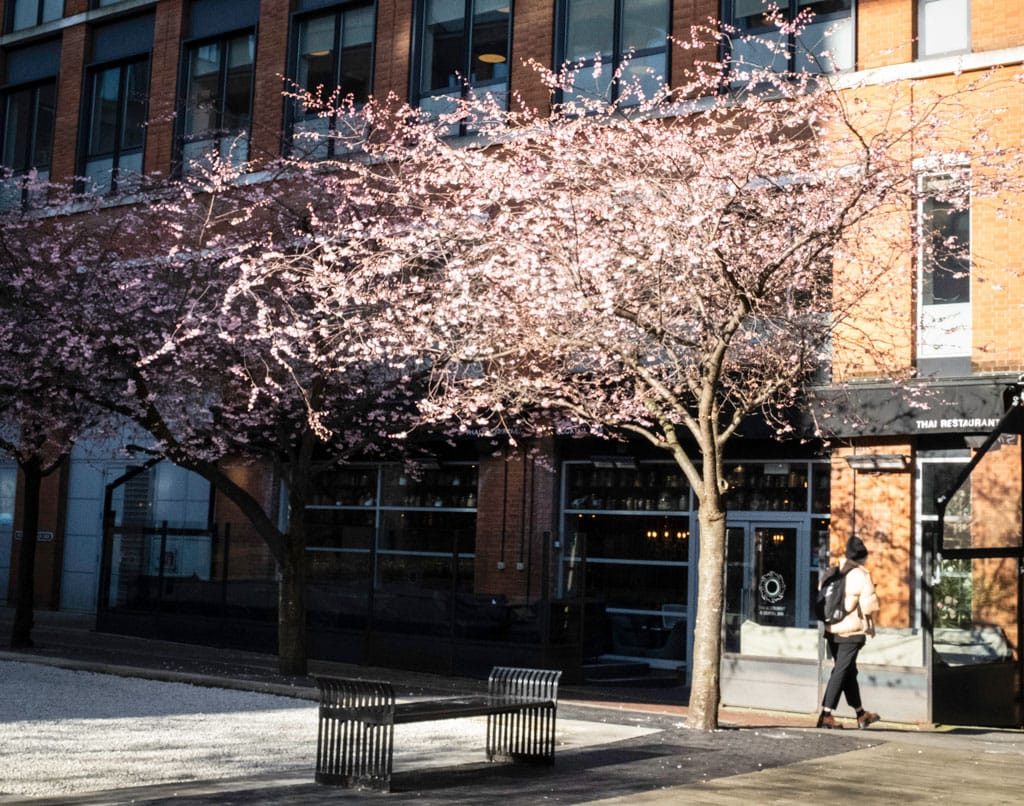 Oozells Square, Birmingham, March, 2024