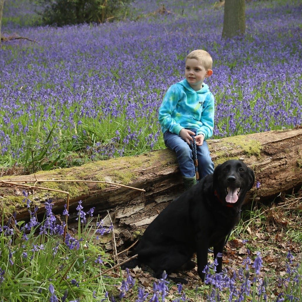 Bluebell Walk, Heart of England Forest, Great Alne. April 2023