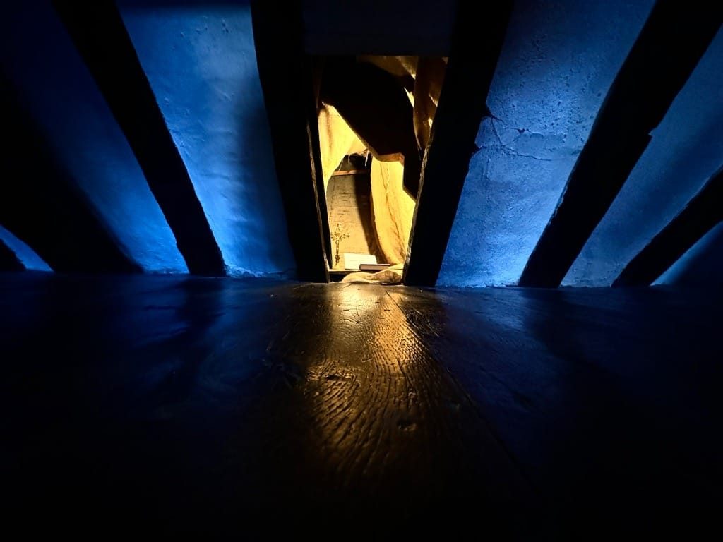IgersbirminghamUK, Selly Manor, Bournville Village Trust. March 2024