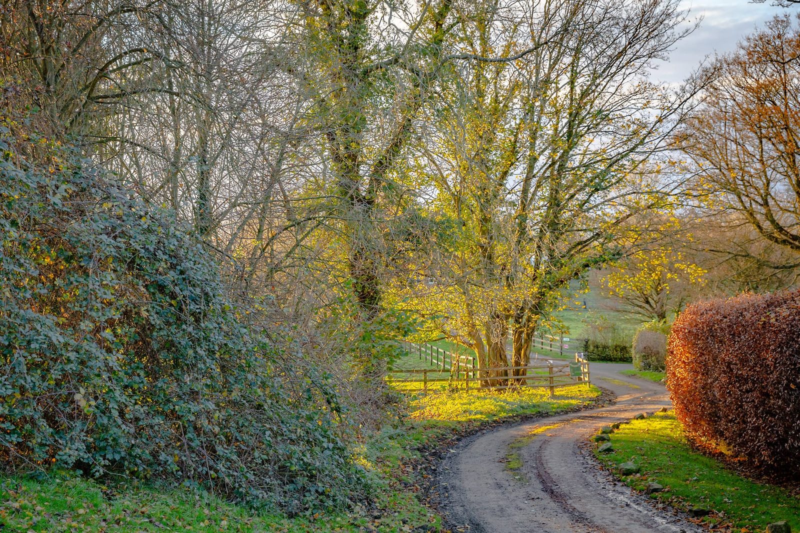 the lane to the Vicarage at the Church