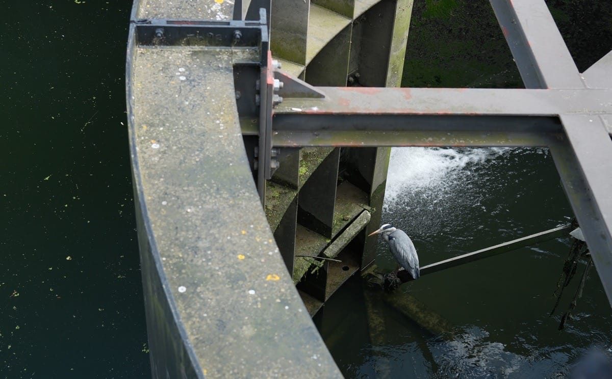 Regents_Canal_Canary_Wharf, May, 2024
