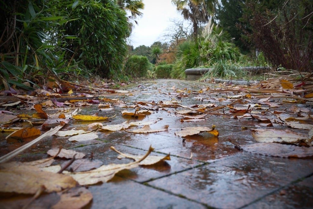 Canon Hill Park, Birmingham, December, 2024