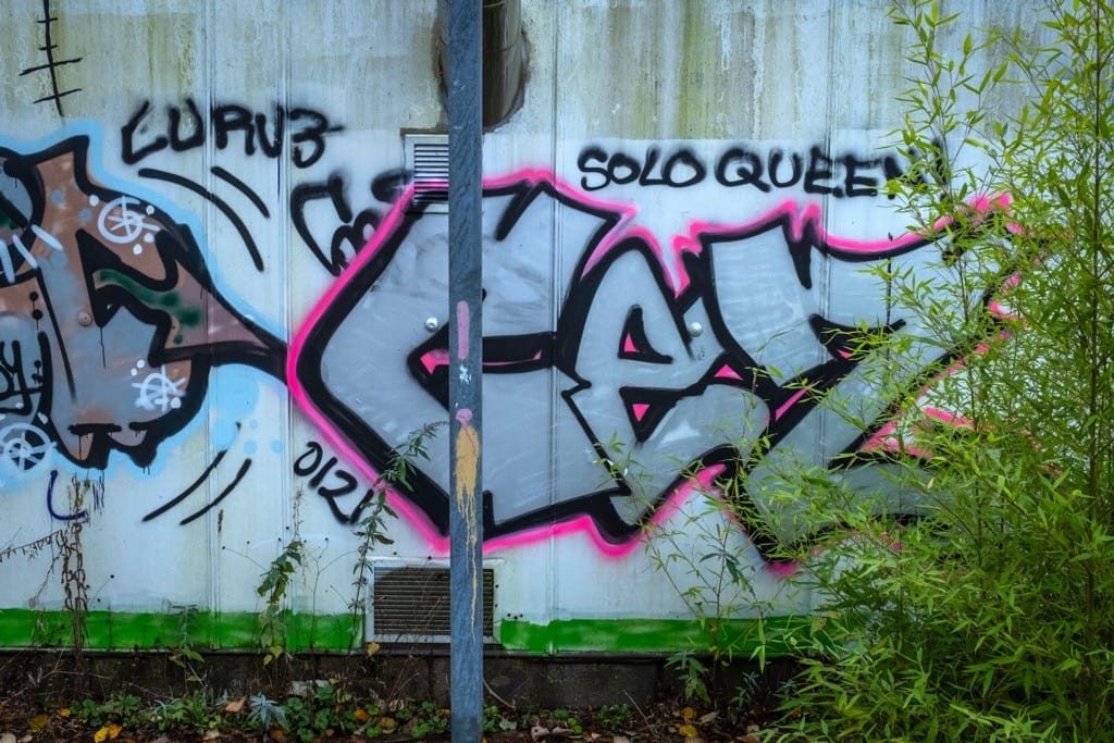 Canon Hill Park, Birmingham, December, 2024