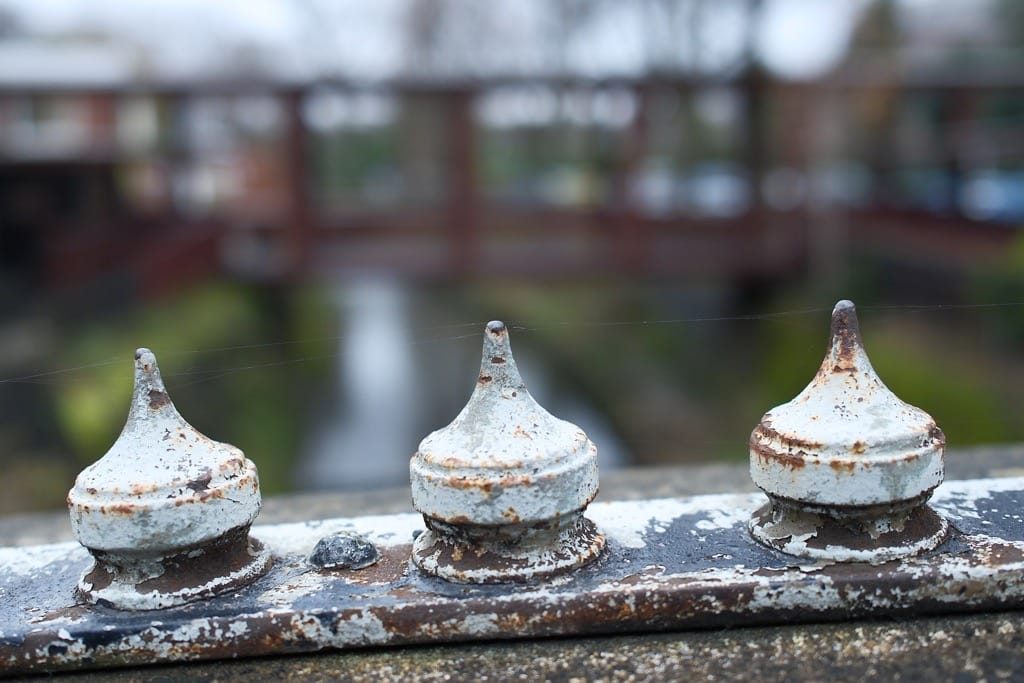 Canon Hill Park, Birmingham, December, 2024