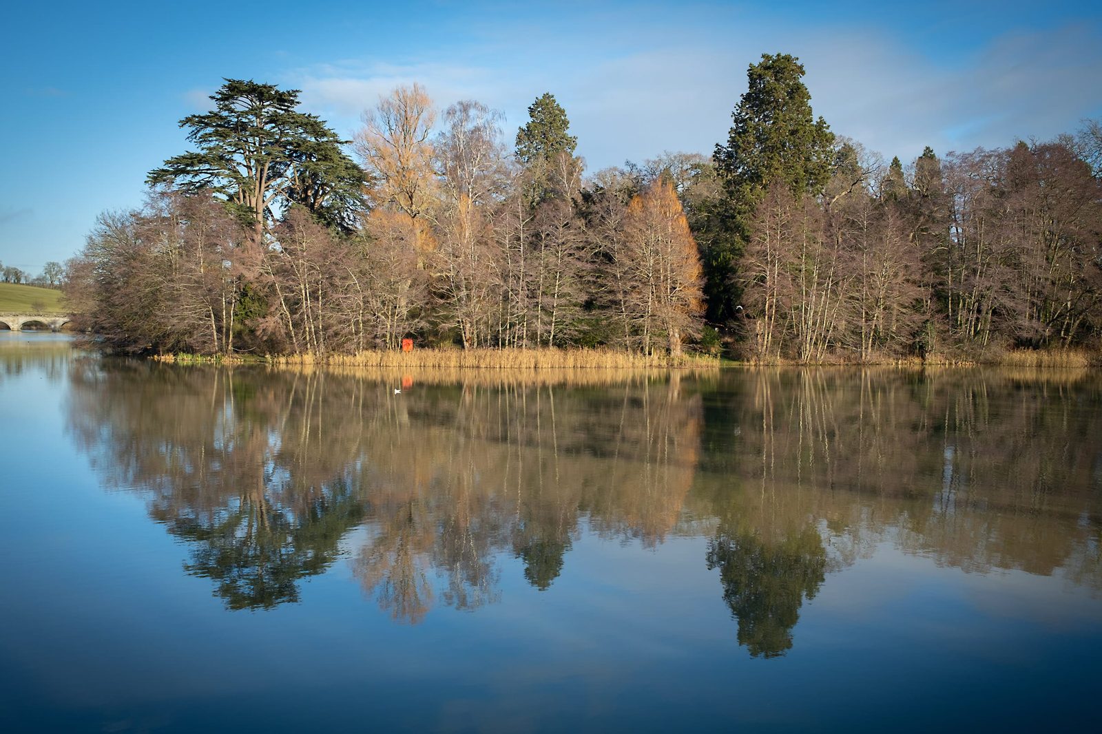 Lovely reflections over the pool