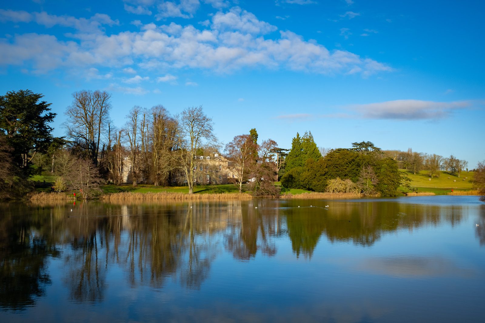 View of the house over the Compton pool