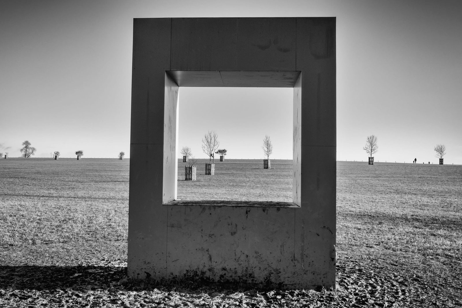 Window to the Meadow