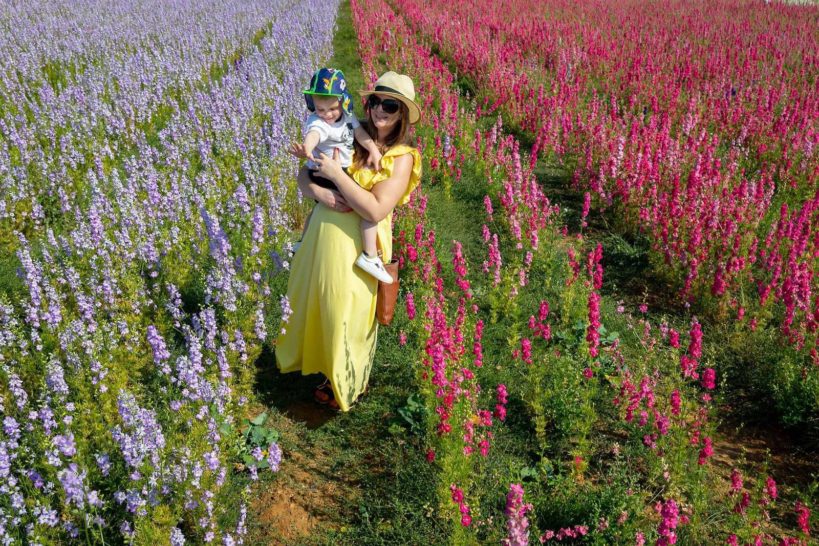 in the Confetti fields
