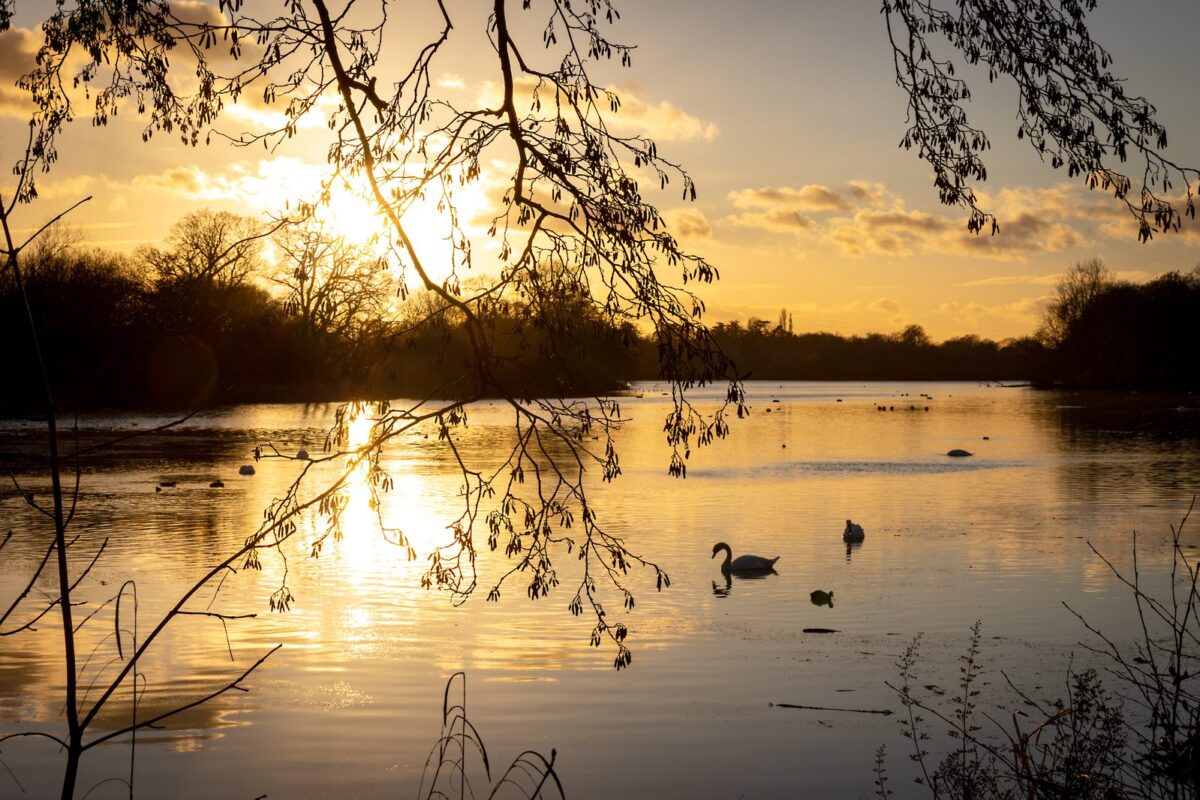 Coombe Abbey Country Park during the Golden Hour