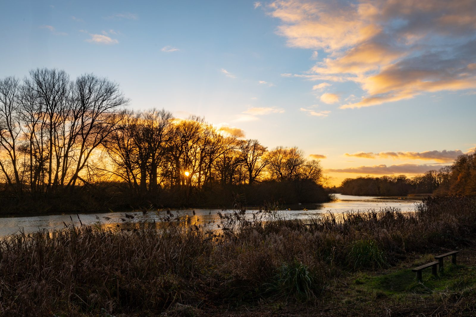 The endless lake of Coombe Abbey Country Park