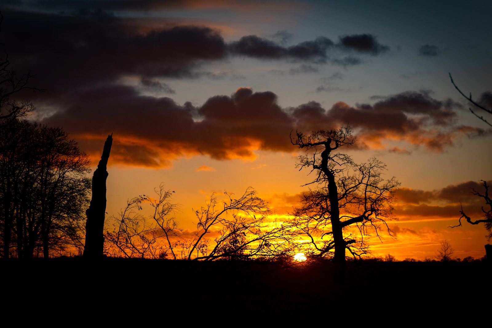 Sunset at Coombe Abbey