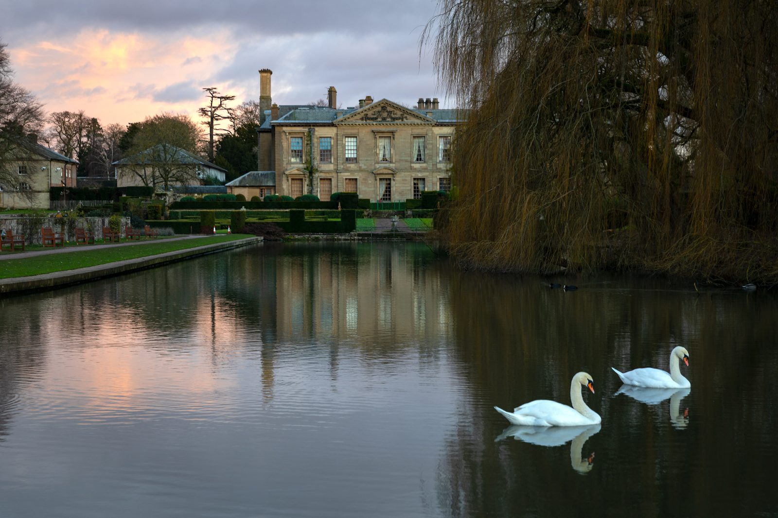 Two swans in the top pool