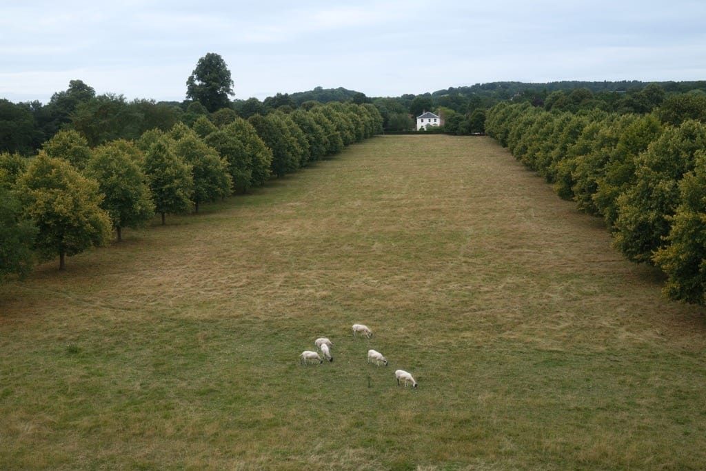 Coughton Court, National Trust, Warwickshire, August, 2024