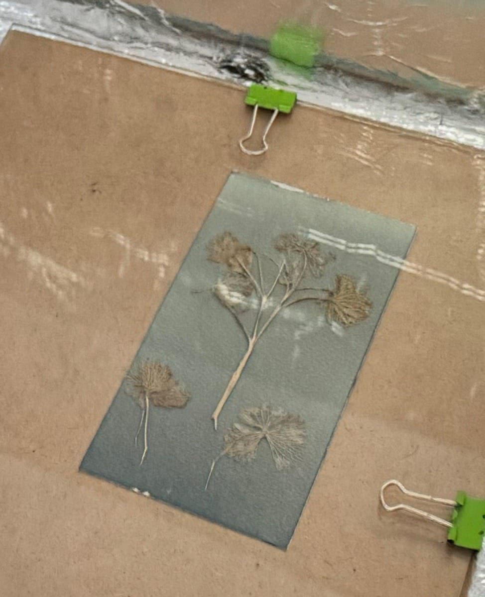 Cyanotype printing, The Old Printworks, Balsall Heath, April 2025