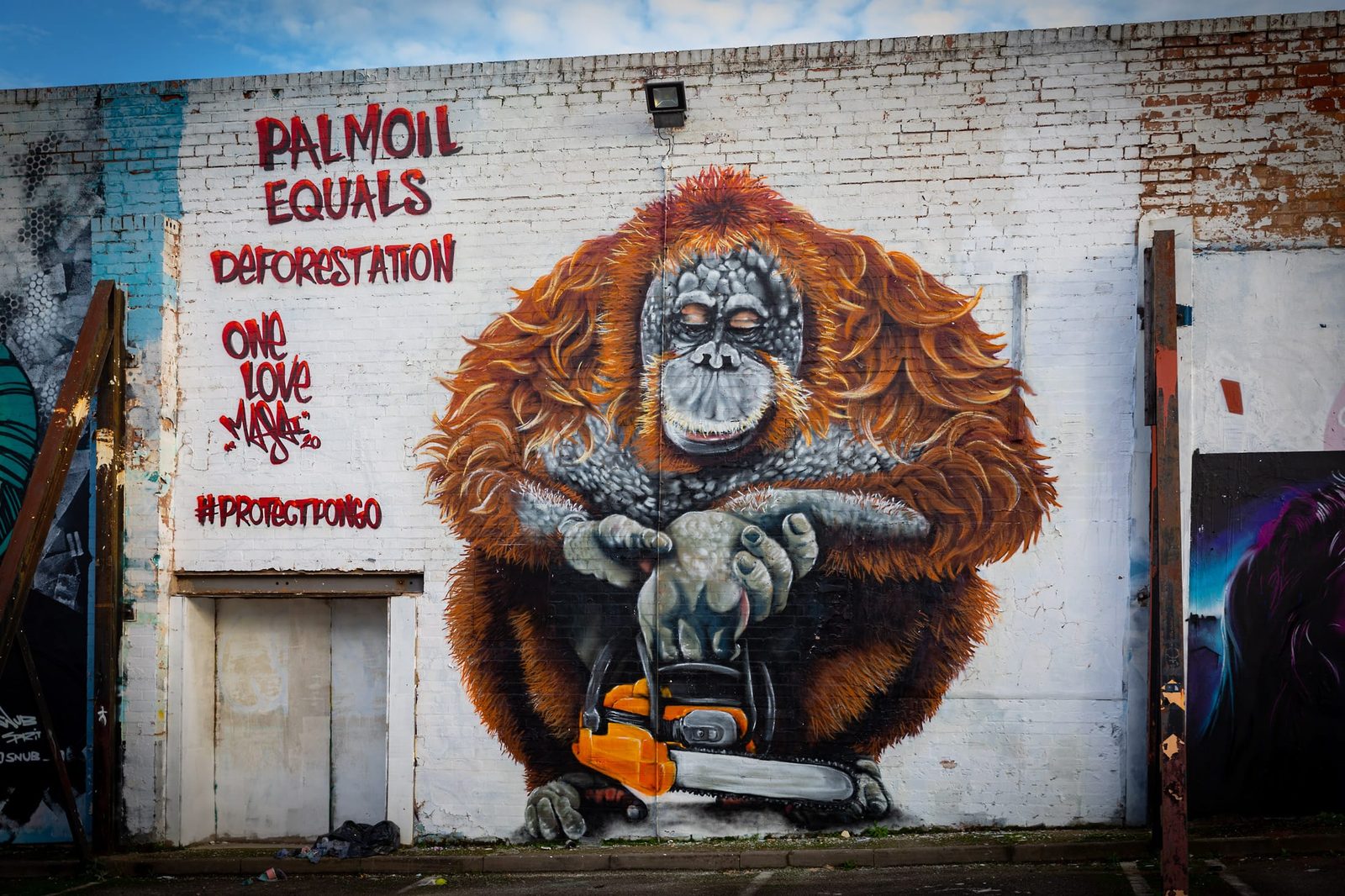 Palm Oil equals...