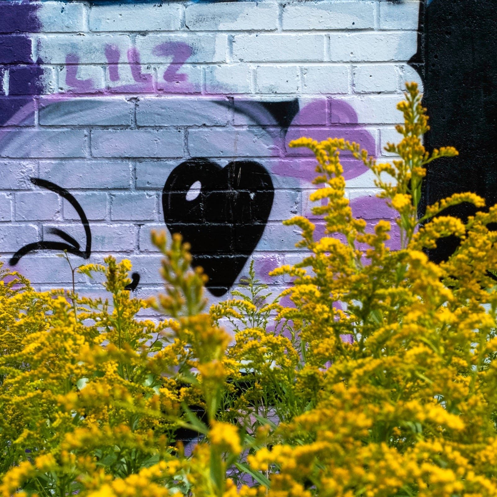 Digbeth Canal walk