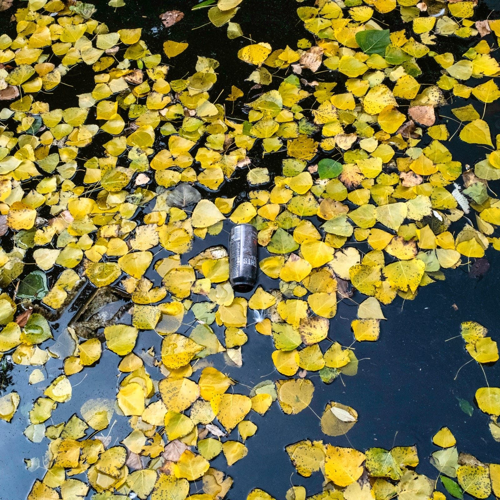 Digbeth Canal walk 
