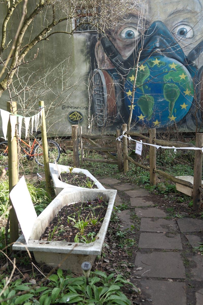 Digbeth Community Garden, Birmingham, March 2025