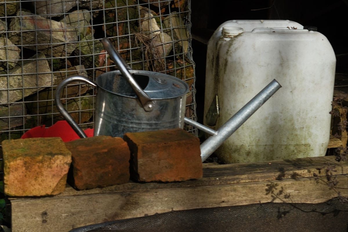 Digbeth Community Garden, Birmingham, March 2025