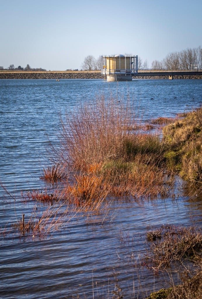 Draycote Water, January 2024