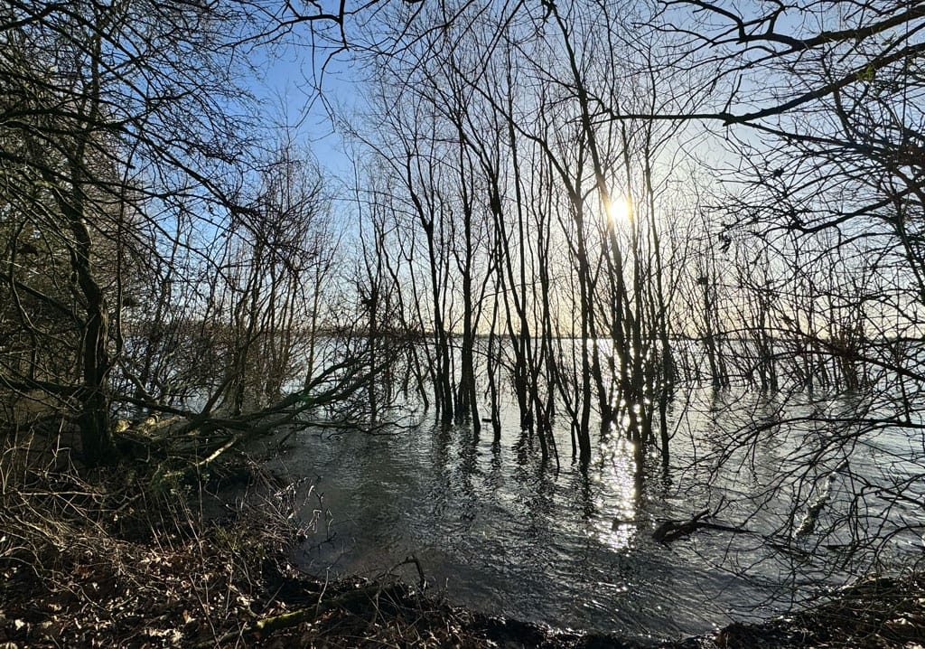 Draycote Water, January 2024
