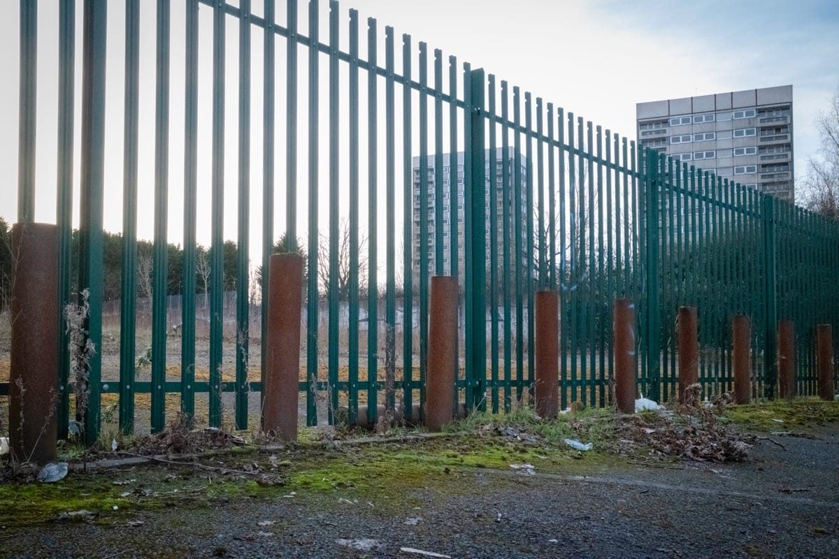 Druids Heath walking tour organised by Place Prospectors and the National Trust, Druids Heath, Birmingham, January 2025