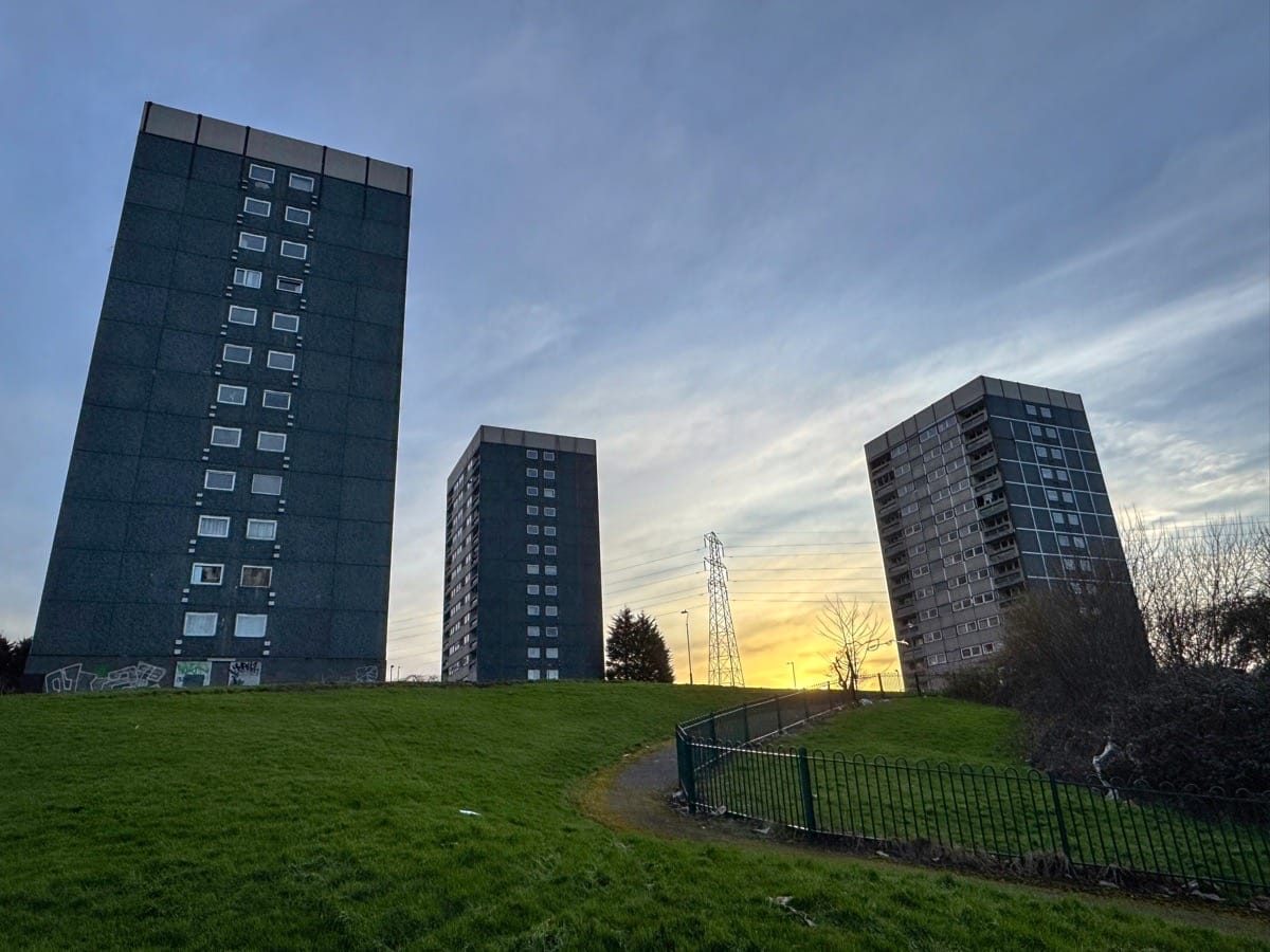 Druids Heath walking tour organised by Place Prospectors and the National Trust, Druids Heath, Birmingham, January 2025
