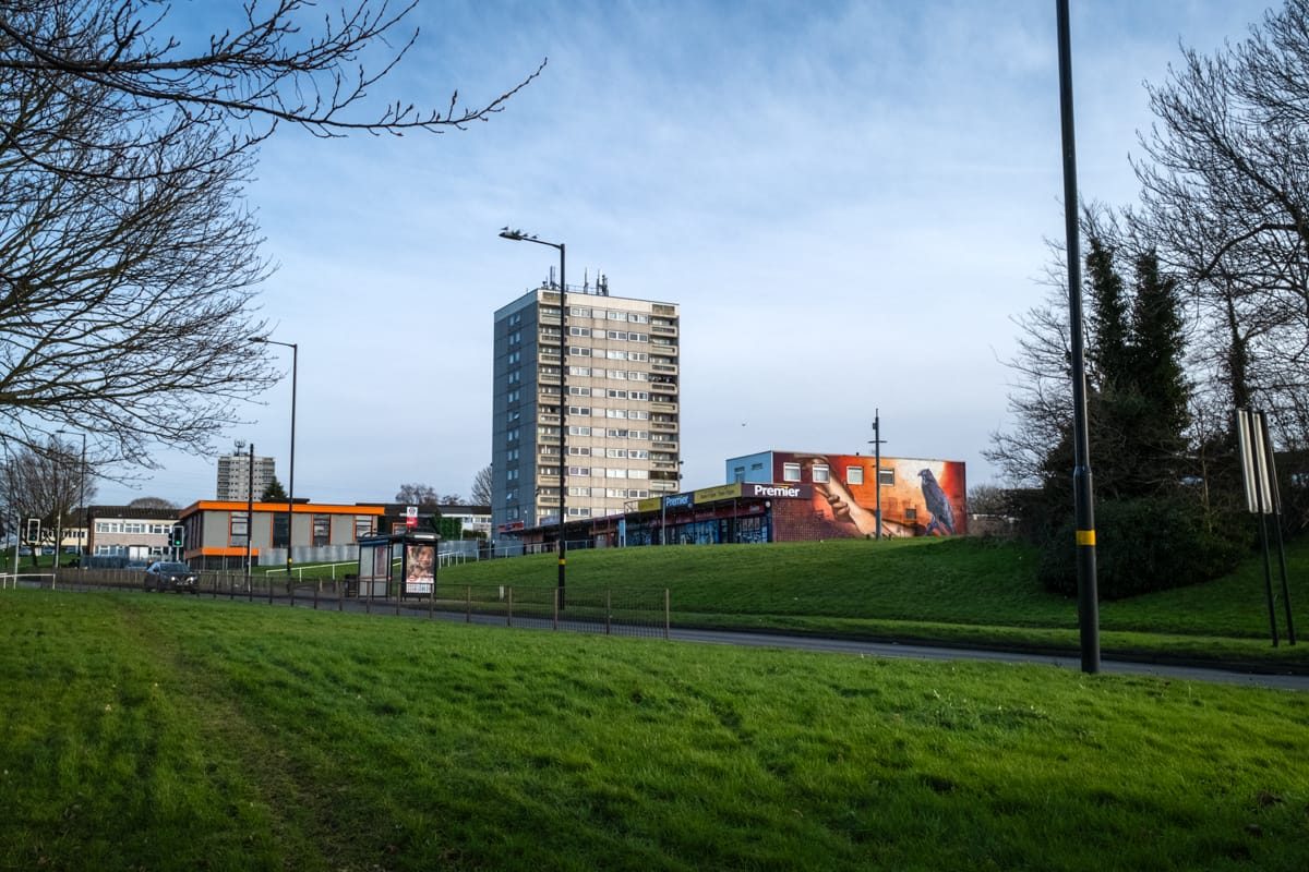 Druids Heath walking tour organised by Place Prospectors and the National Trust, Druids Heath, Birmingham, January 2025