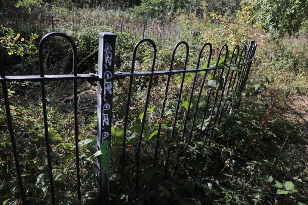 Elmden Manor Walled Garden, Wildlife Trust, Solihull, 2025