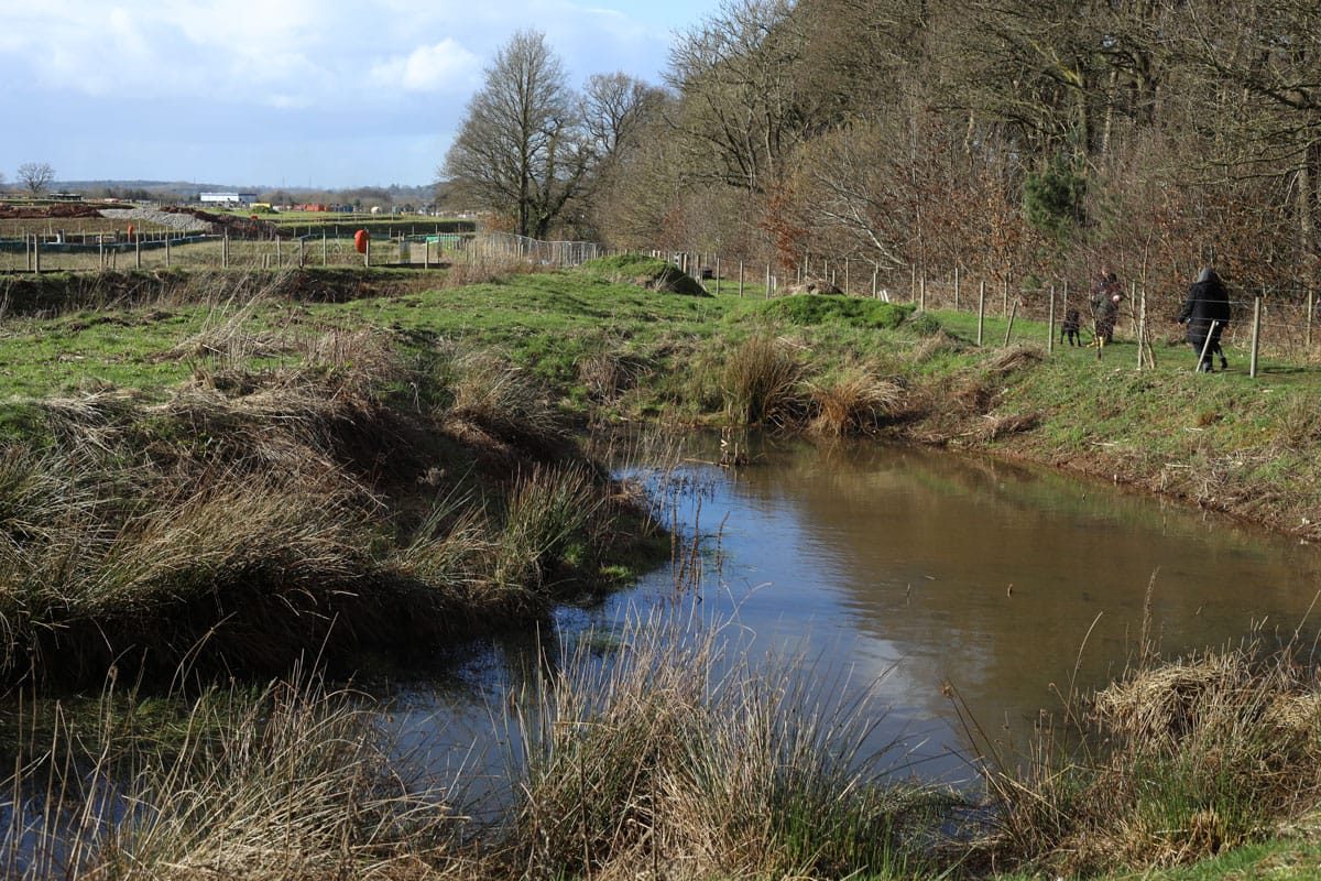 16 Acre Wood, Berkswell, HS2, February, 2025