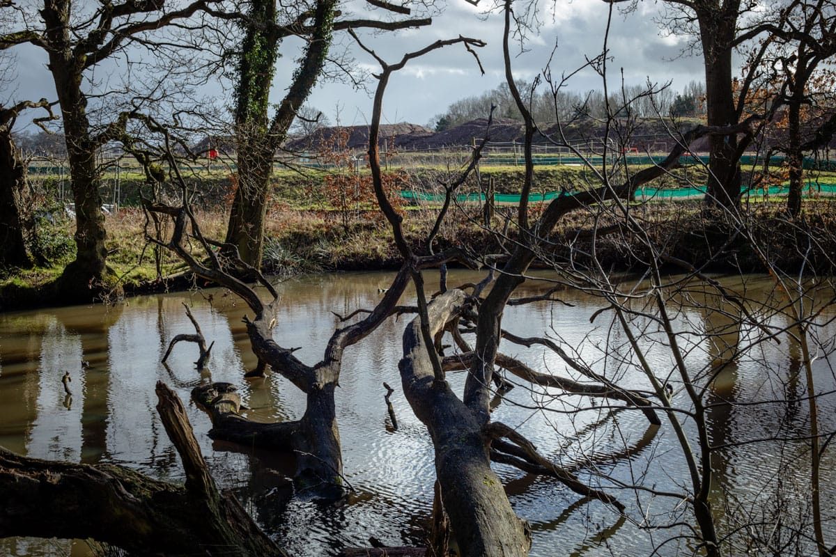 16 Acre Wood, Berkswell, HS2, February, 2025