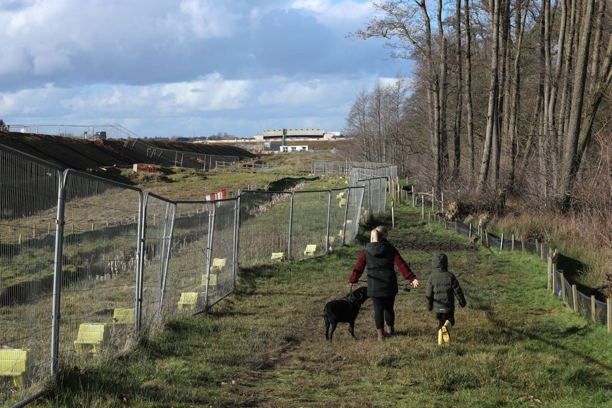 16 Acre Wood, Berkswell, HS2, February, 2025