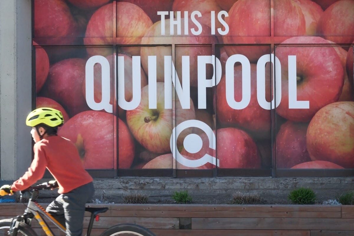 This is Quinpool Road — Exploring Street Art in Halifax, Nova Scotia