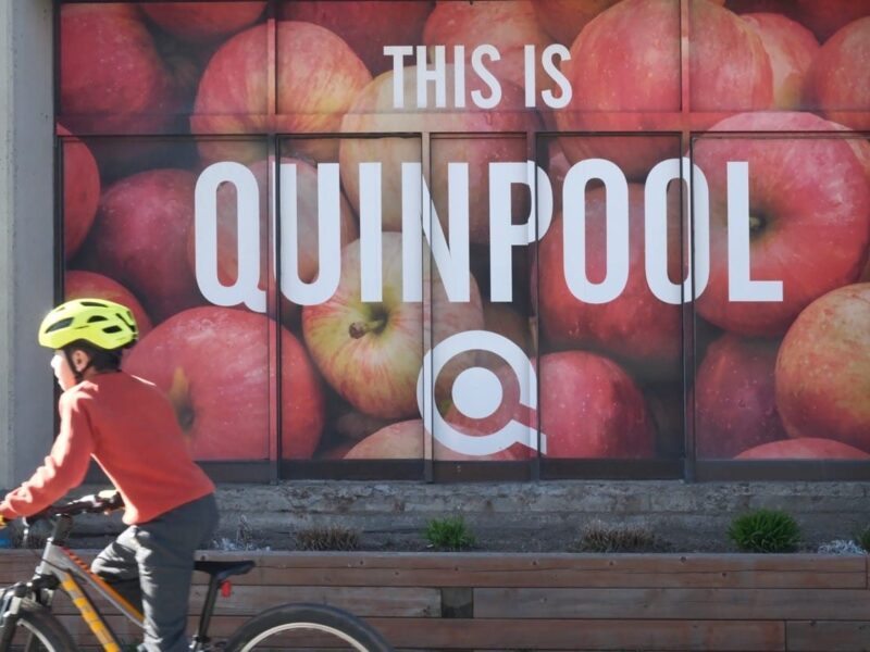This is Quinpool Road — Exploring Street Art in Halifax, Nova Scotia