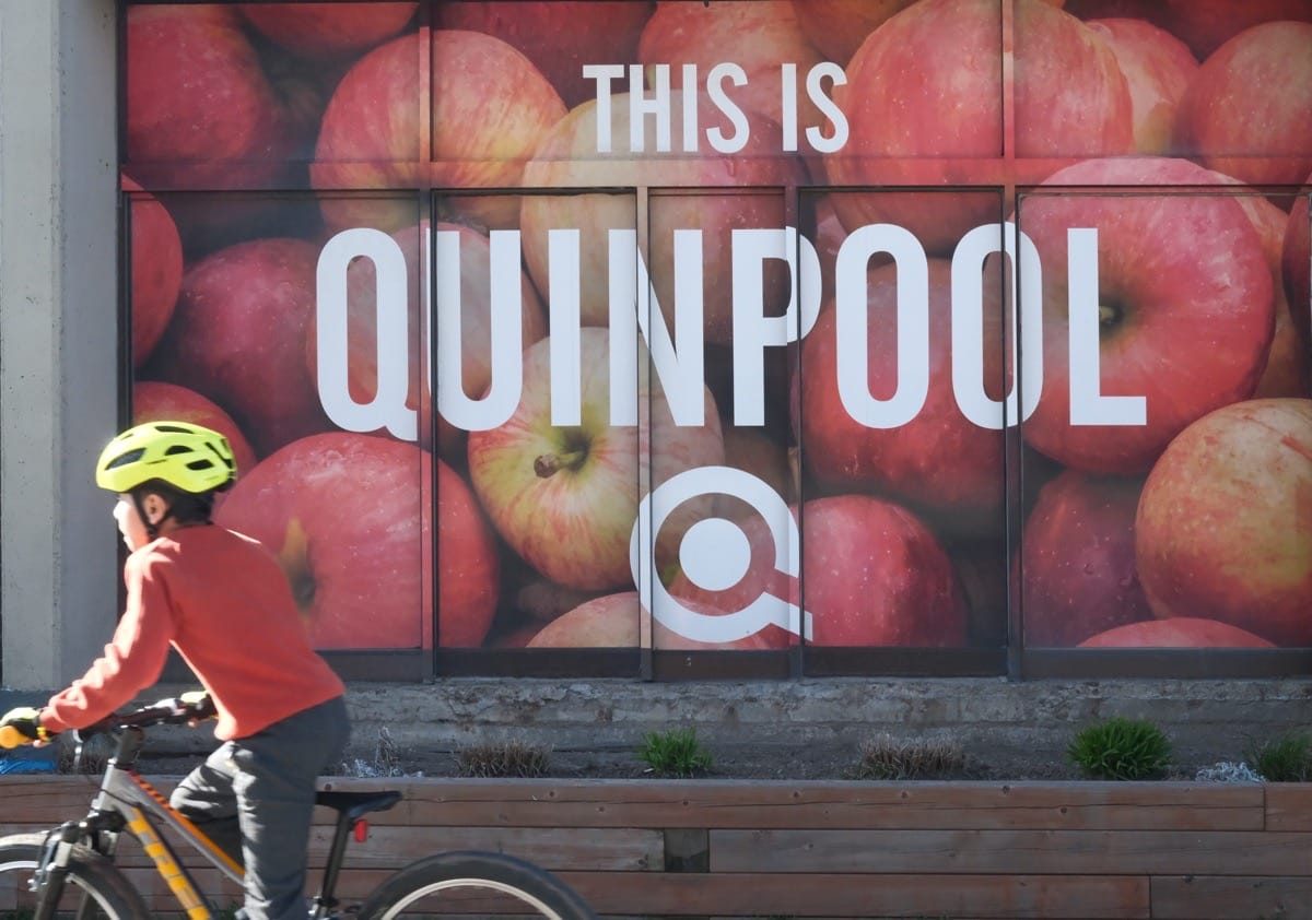 This is Quinpool Road — Exploring Street Art in Halifax, Nova Scotia