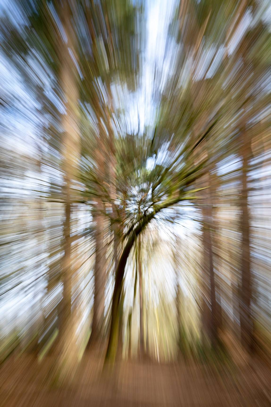 Hay Wood March 2021