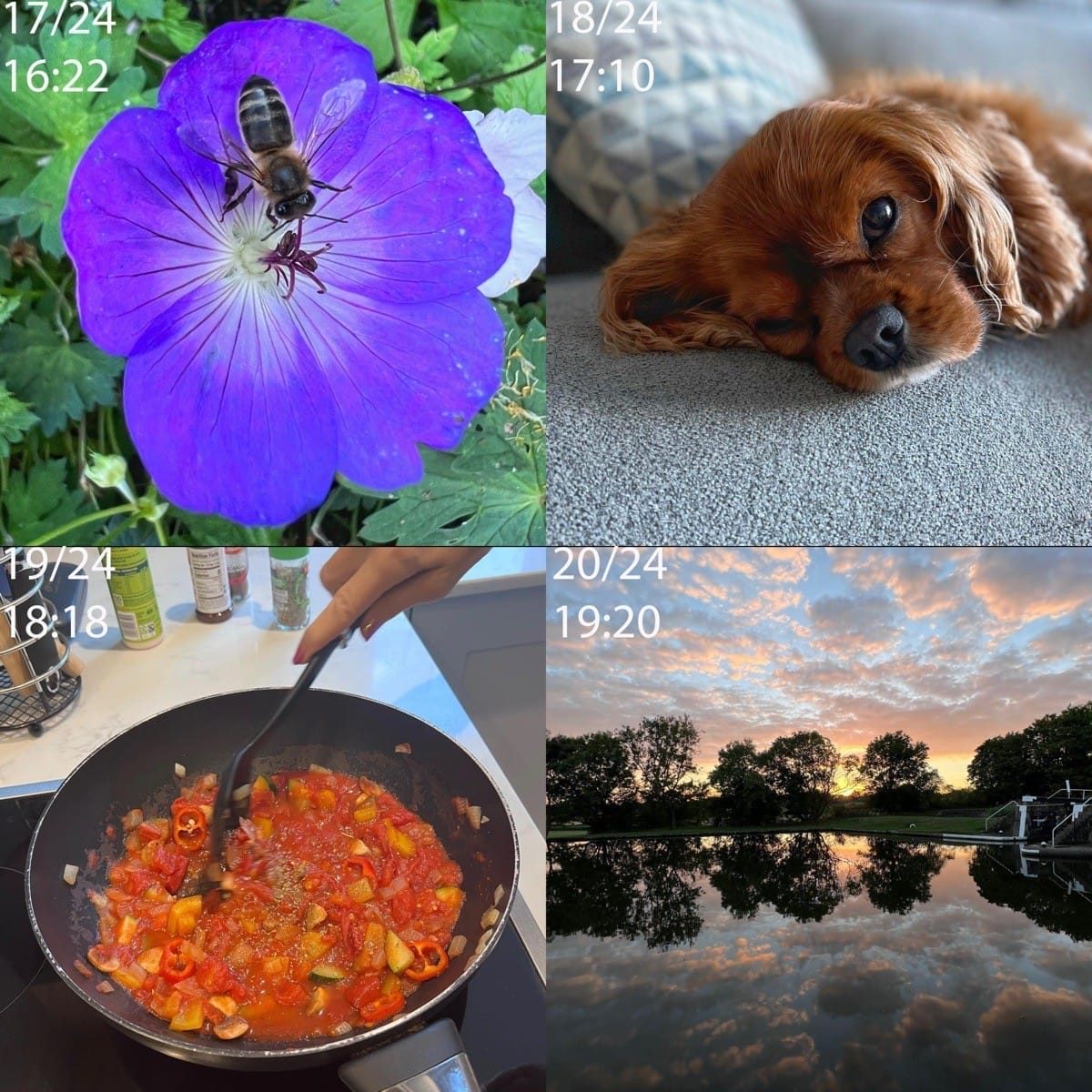 24 Hours Project, Knowle and Birmingham, 10th September 2022