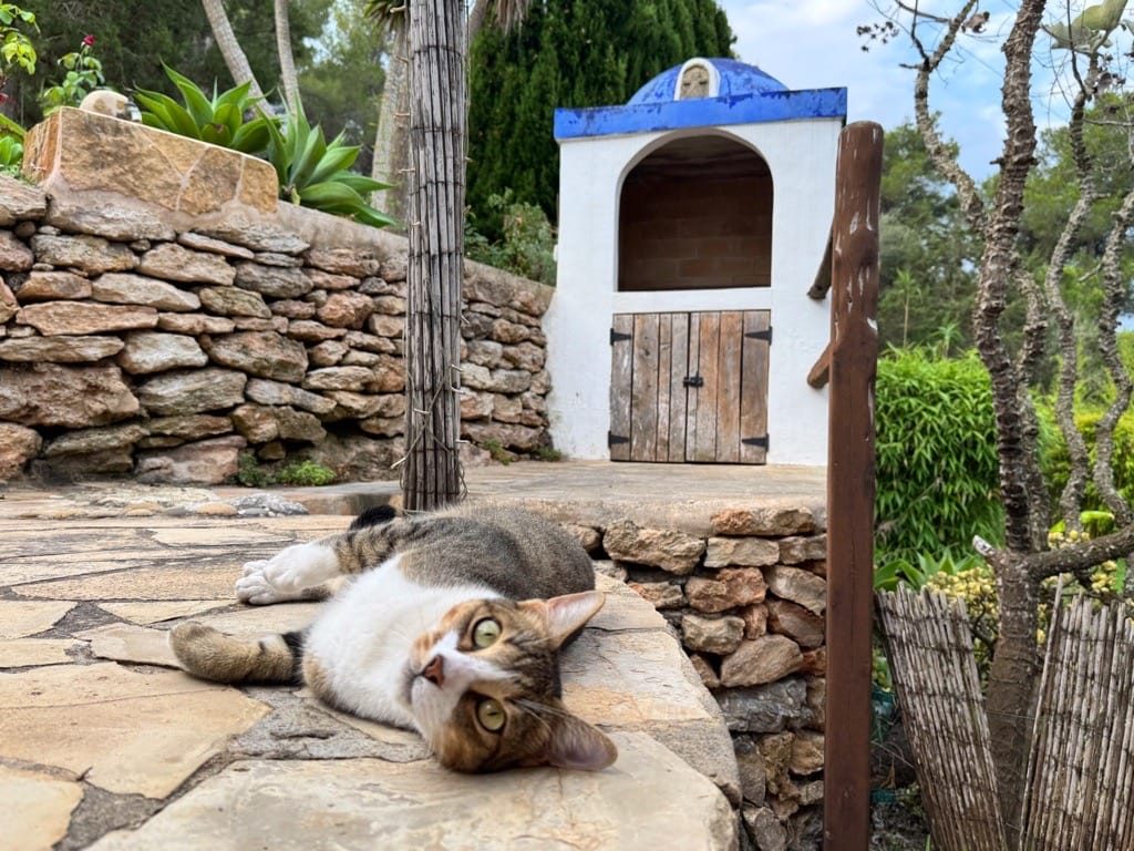 Can Sayoma Basore, Sant Miquel de Balansat, Ibiza, August 2025.