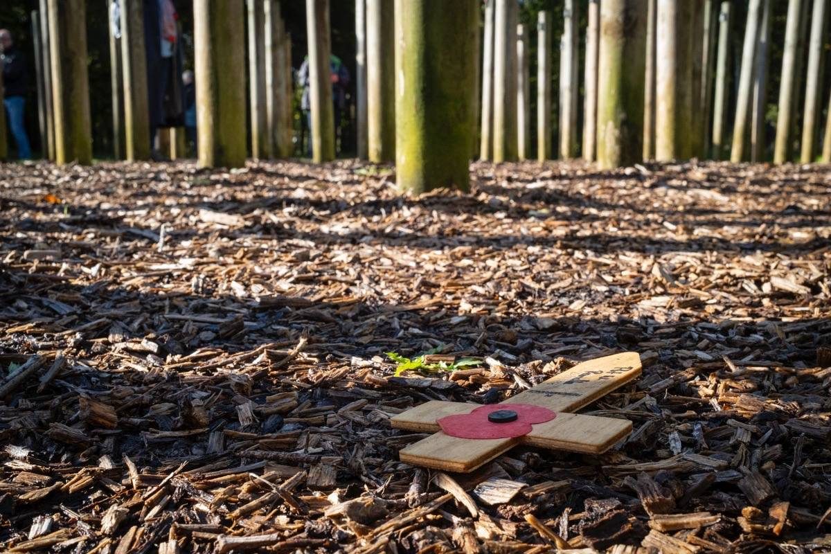 National Memorial Arboretum