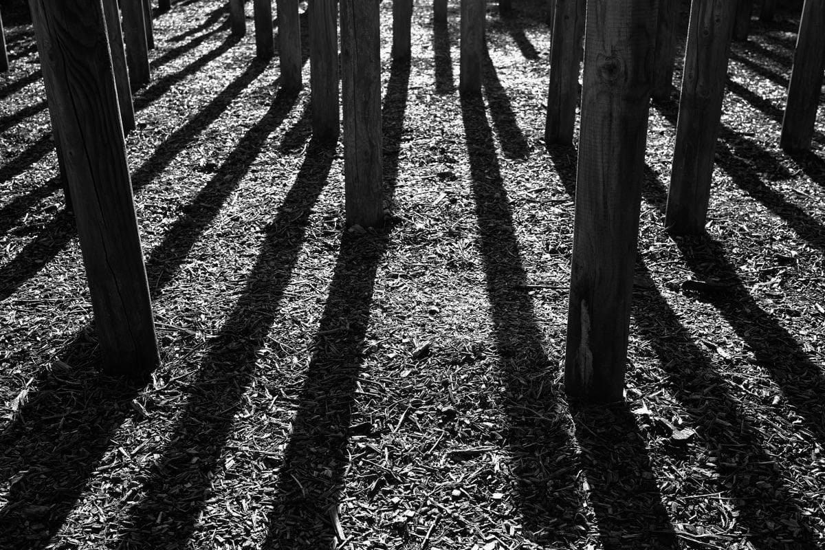 National Memorial Arboretum
