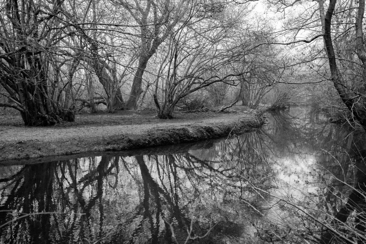 The fog creates a black and white landscape