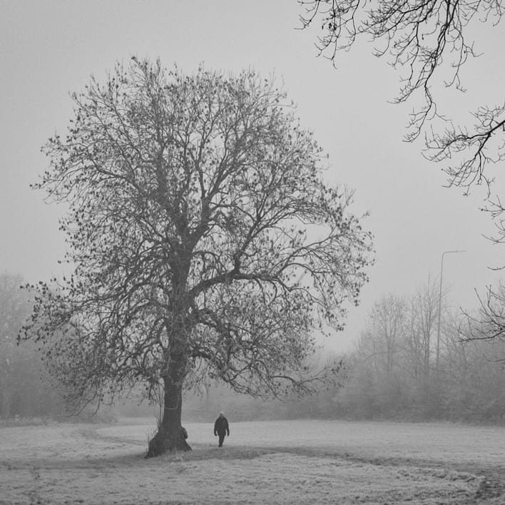 A man walks past a tree in the fog